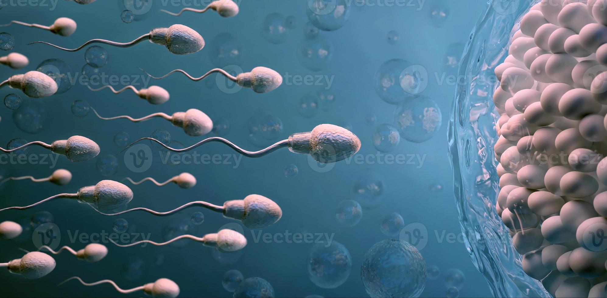 espermatozoides y óvulos.fecundación natural. Ilustración 3d sobre fondo oscuro foto