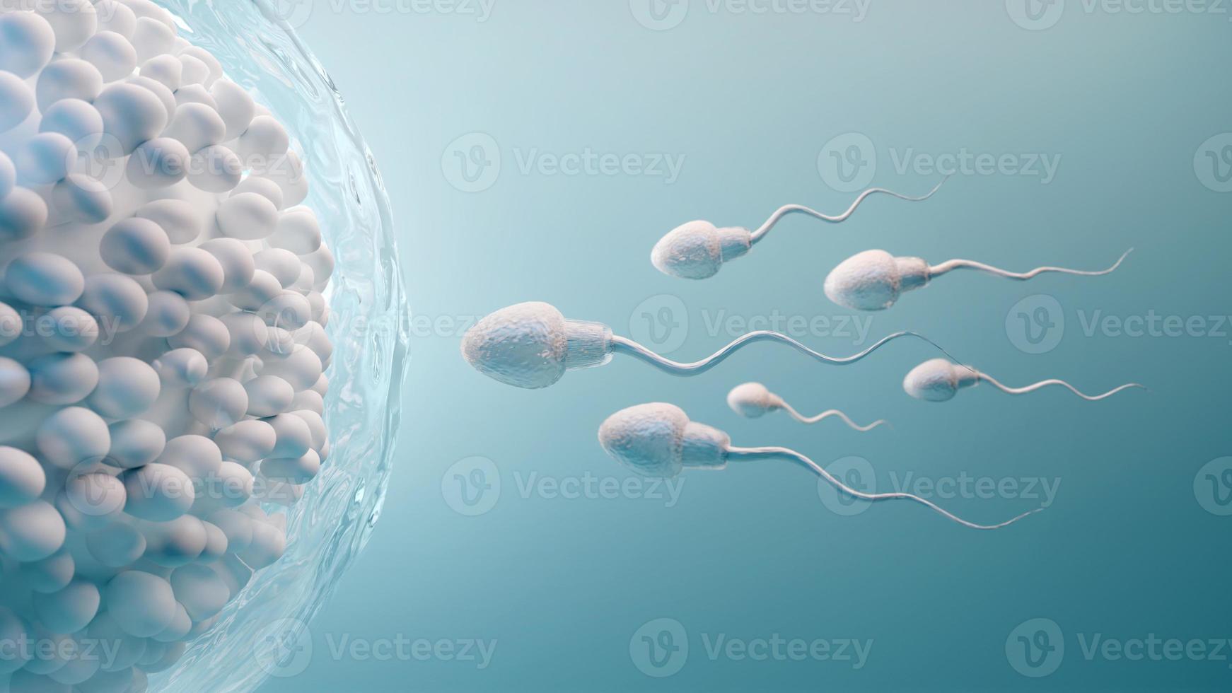esperma y óvulo cell.natural fertilization.3d ilustración sobre fondo azul foto