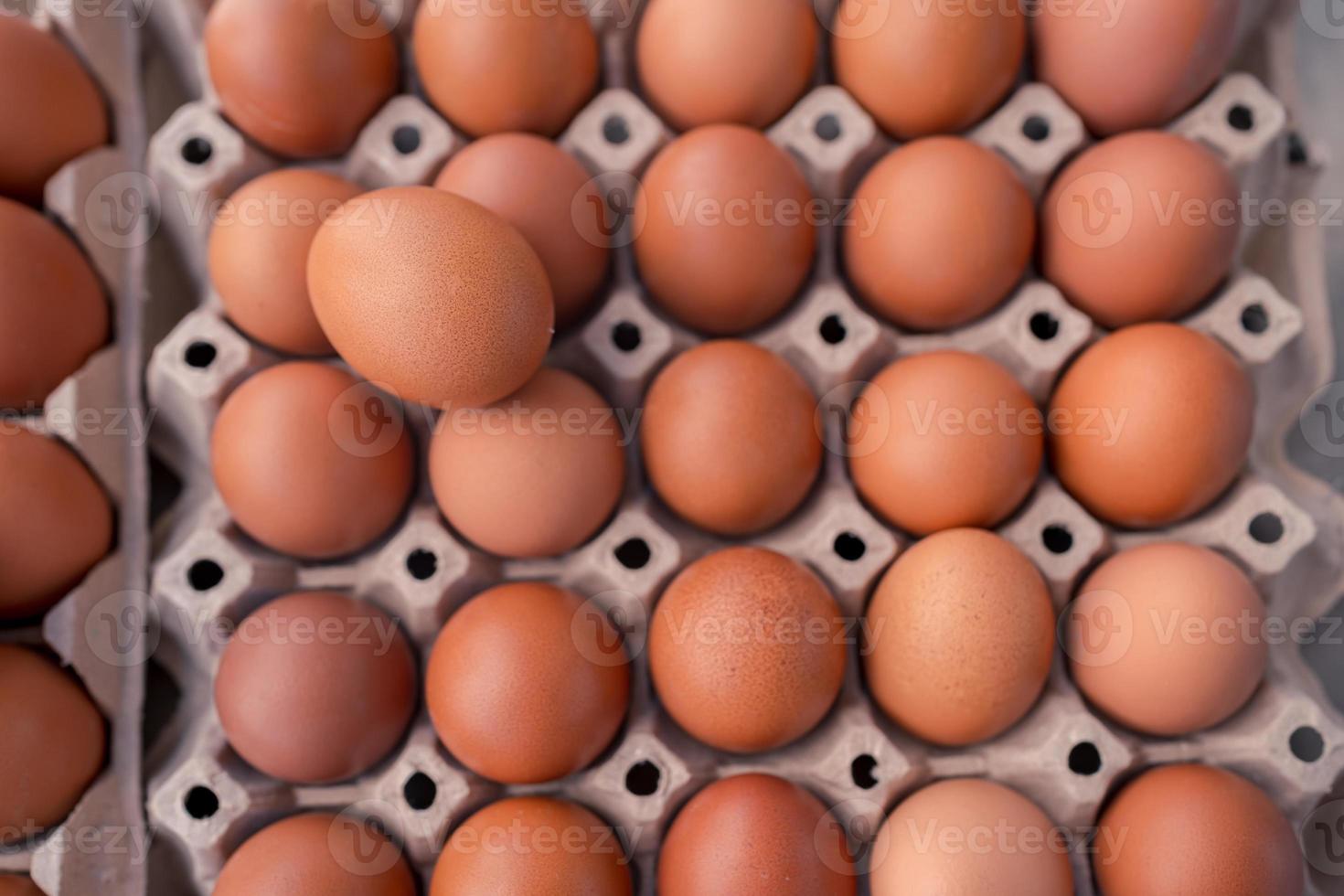 selective focus chicken egg on eggs in paper tray container photo