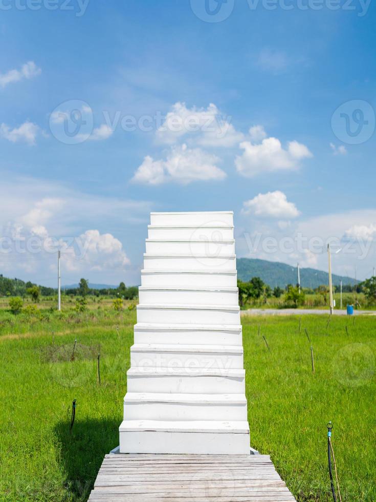 escaleras blancas desde el jardín del campo de hierba verde hasta el cielo nublado foto
