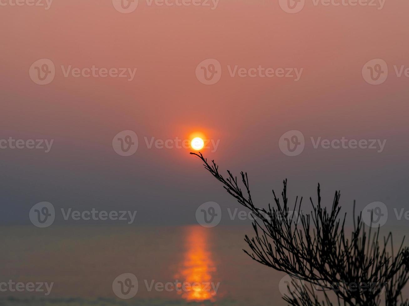 sunrise on twilight sky with reflection above silhouette tree le photo