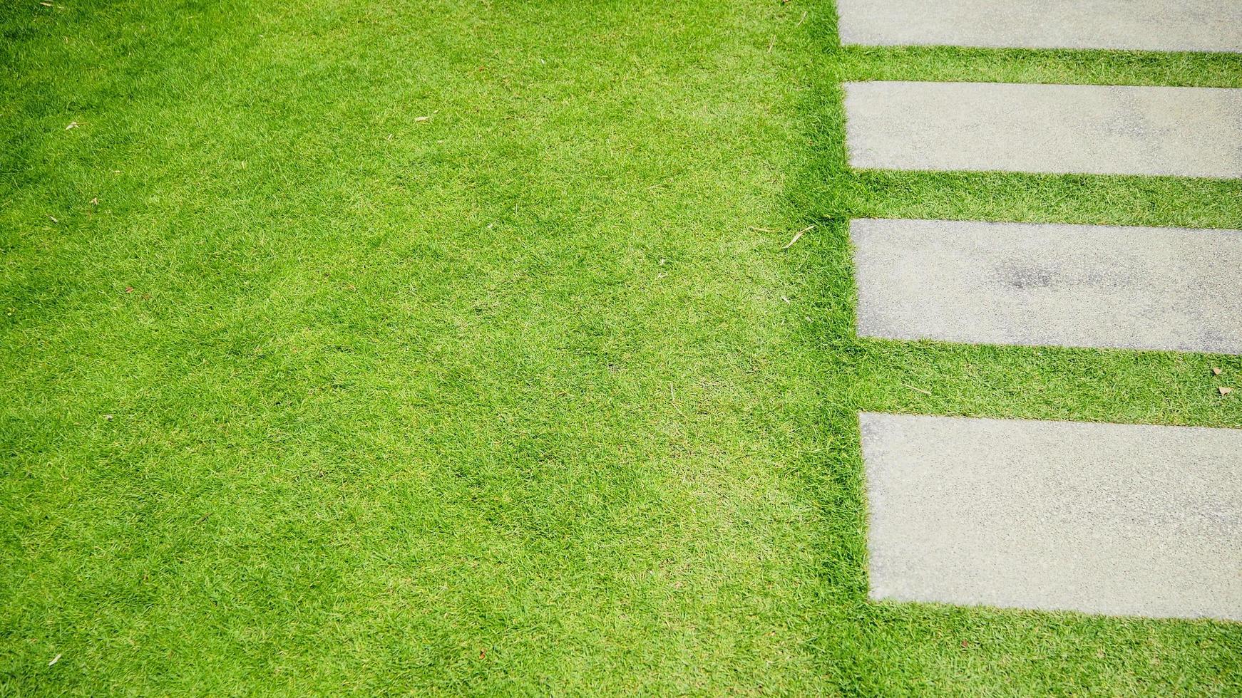 Green lawn with square stone block walkways. photo