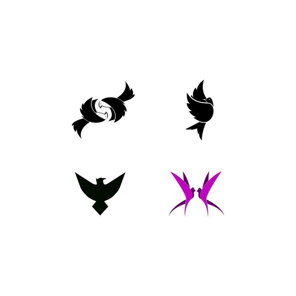 bird logo illustration vector