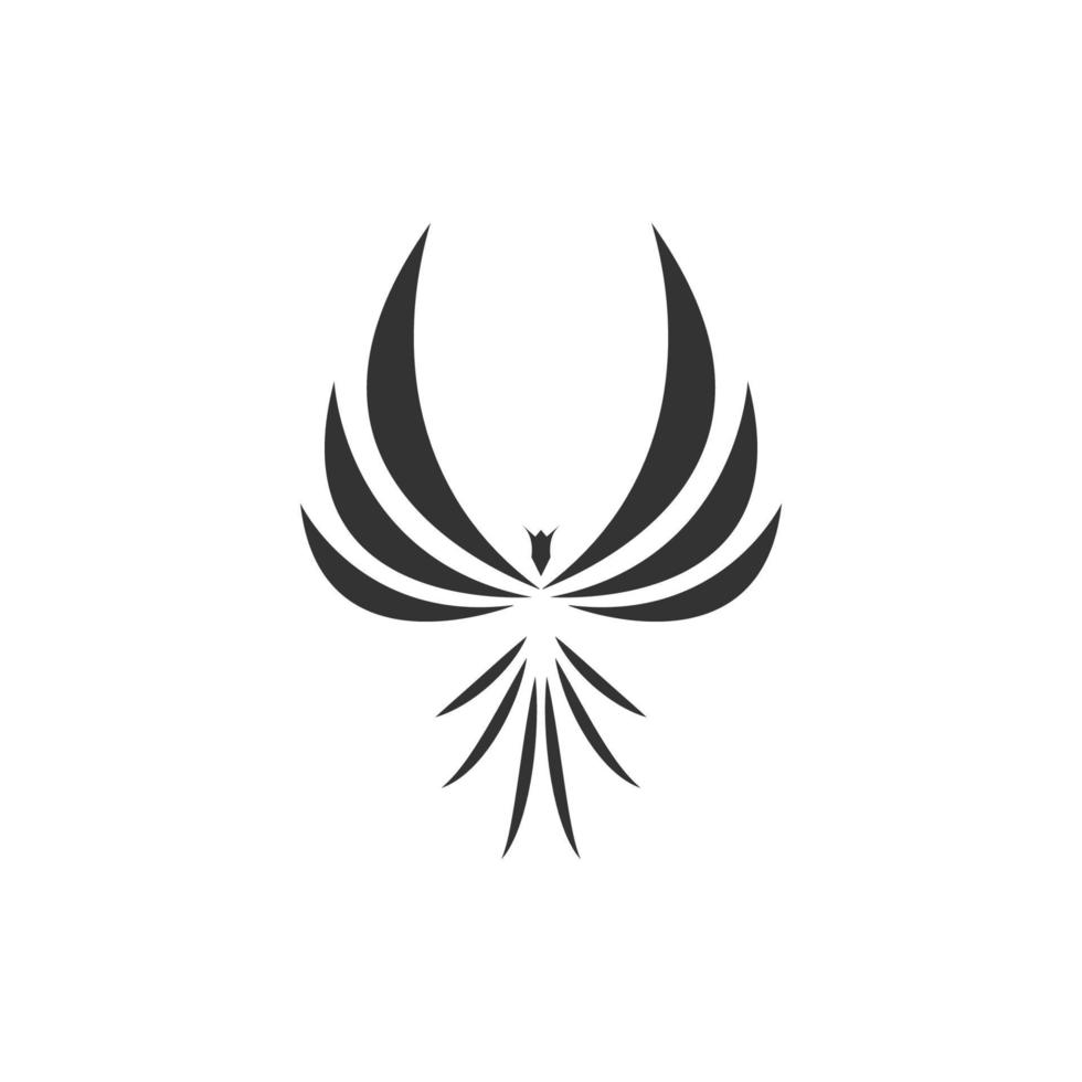 bird logo illustration vector