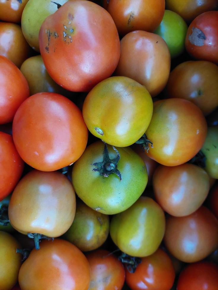 Tomatoes starting to turn red photo