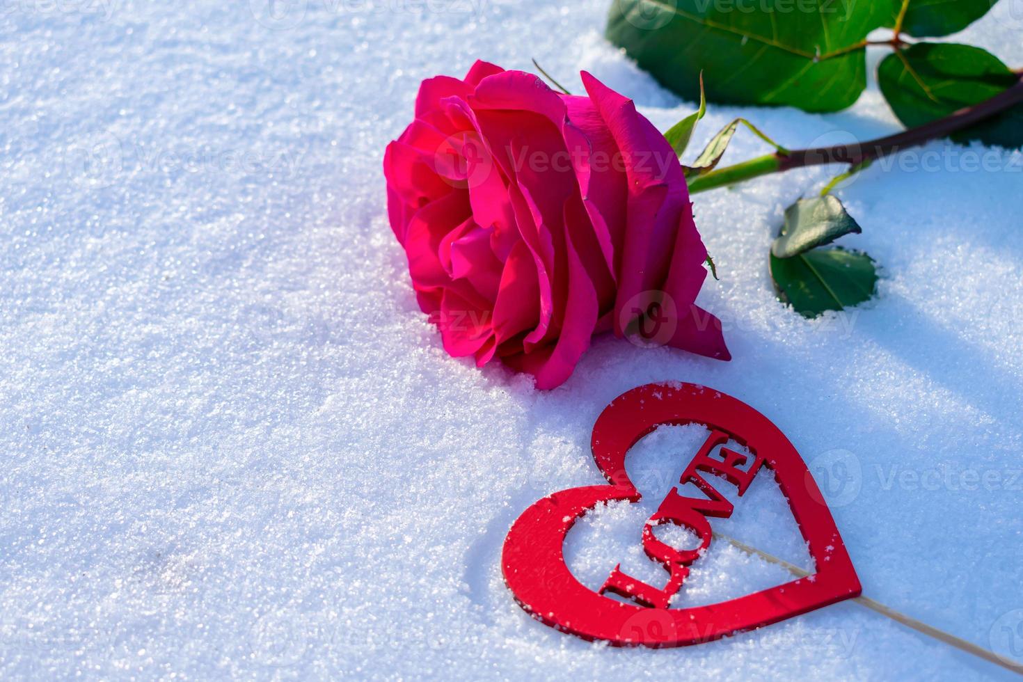 A gift in the form of a rose and a love message in the snow ...