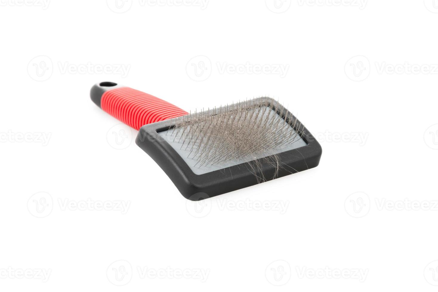 Pet Grooming Brush with Hair, Fur on White Background. photo