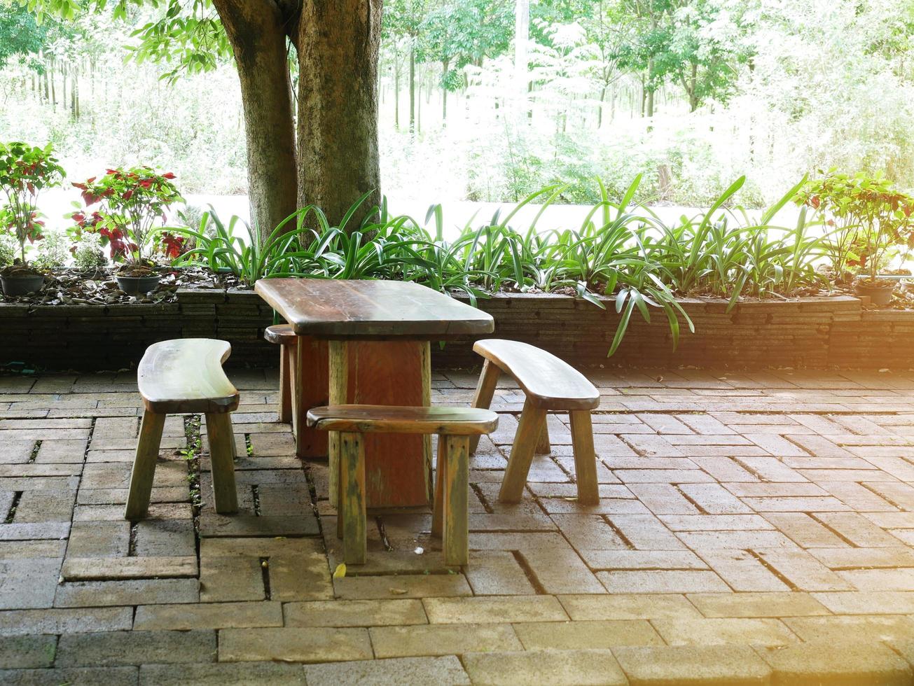 A wooden seat under the shade of a tree in the park. photo