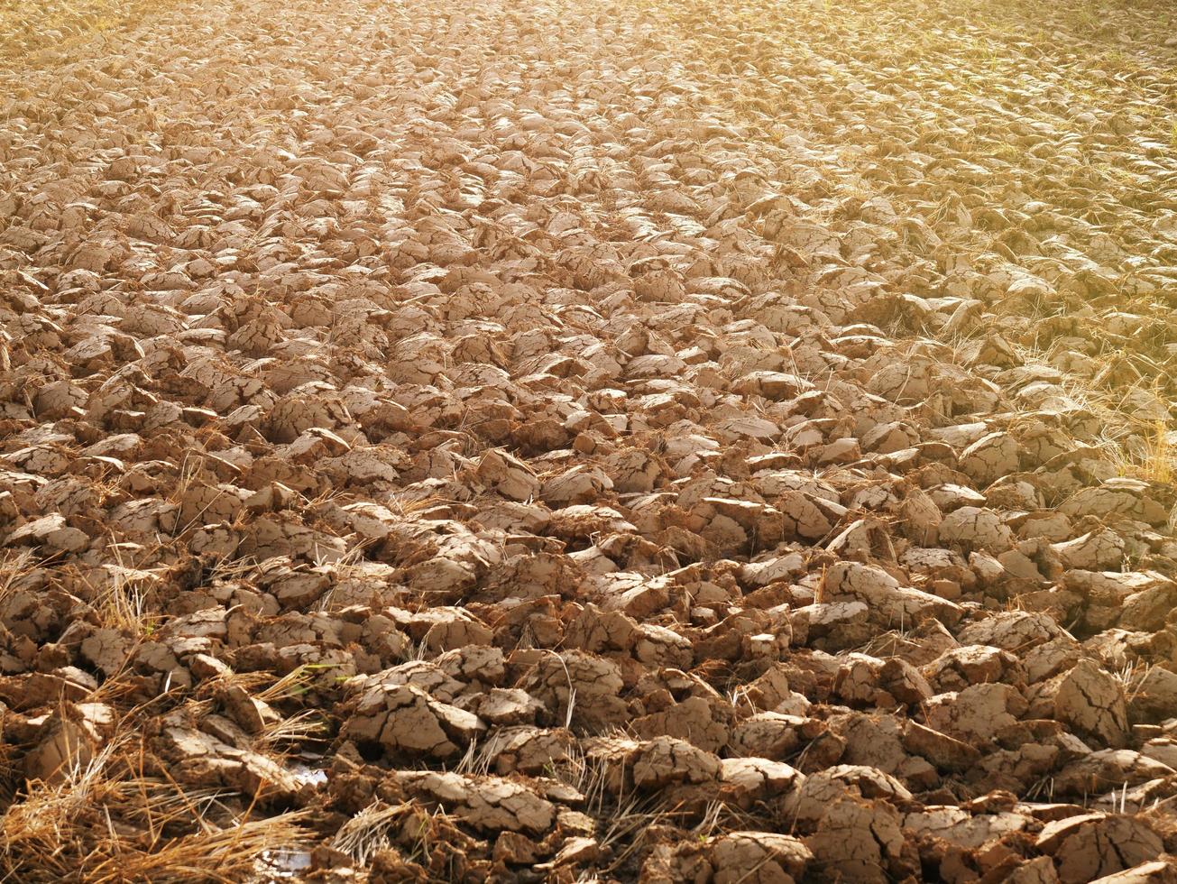 The barren pastures have just plowed again. photo