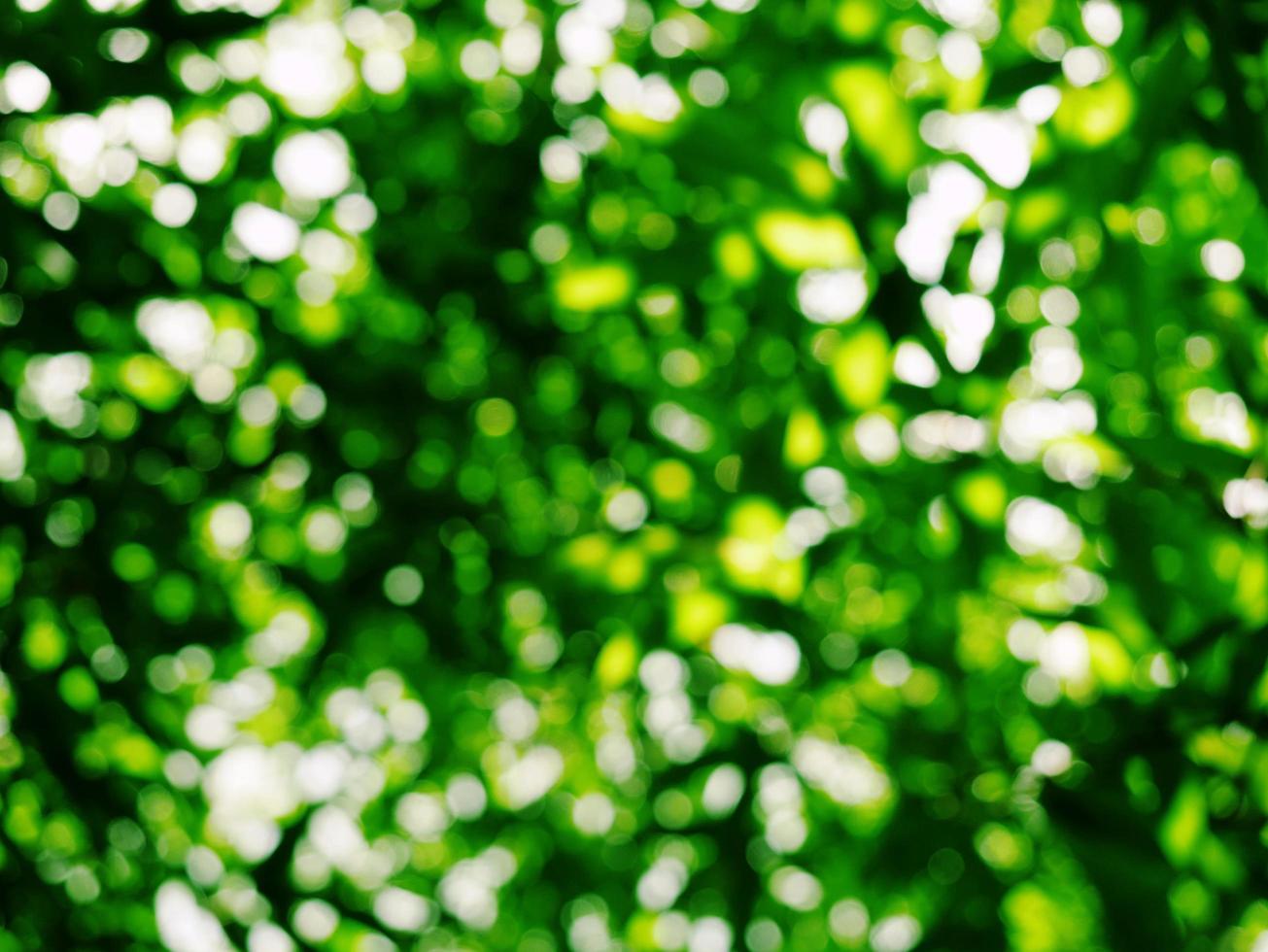 foto de bokeh de fondo con luz.
