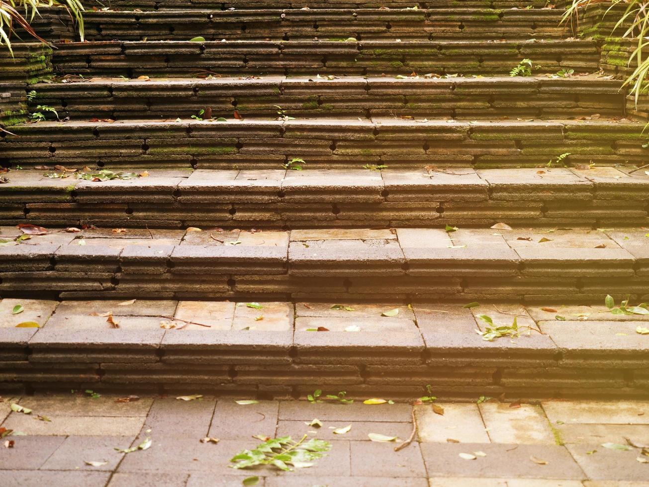 una escalera de ladrillo ilumina el camino hacia un jardín ligeramente cubierto de hierba. foto