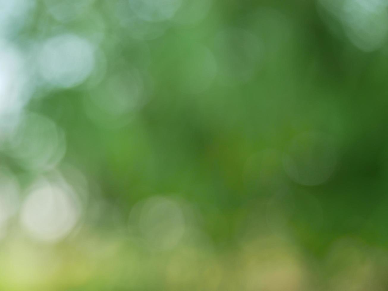 Background bokeh photo with light.