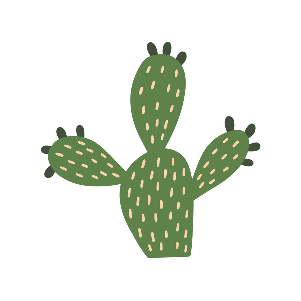 Desert green cute cactus vector