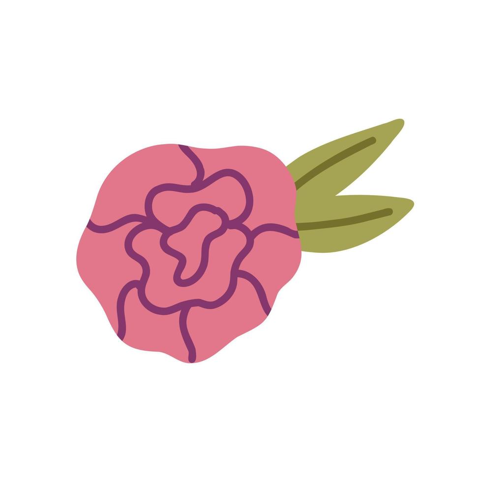 Cute pink rose flower vector