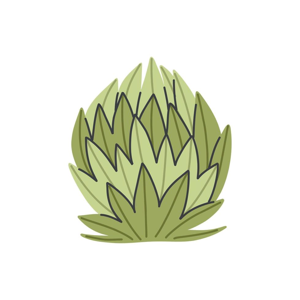 Green succulent aloe plant vector