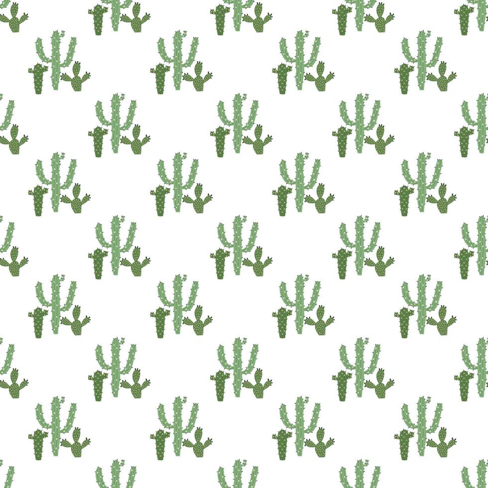 Pattern of green cacti on white background vector