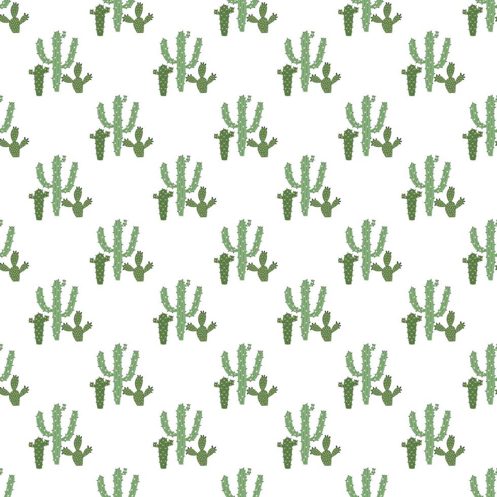 patrón de cactus verdes sobre fondo blanco vector