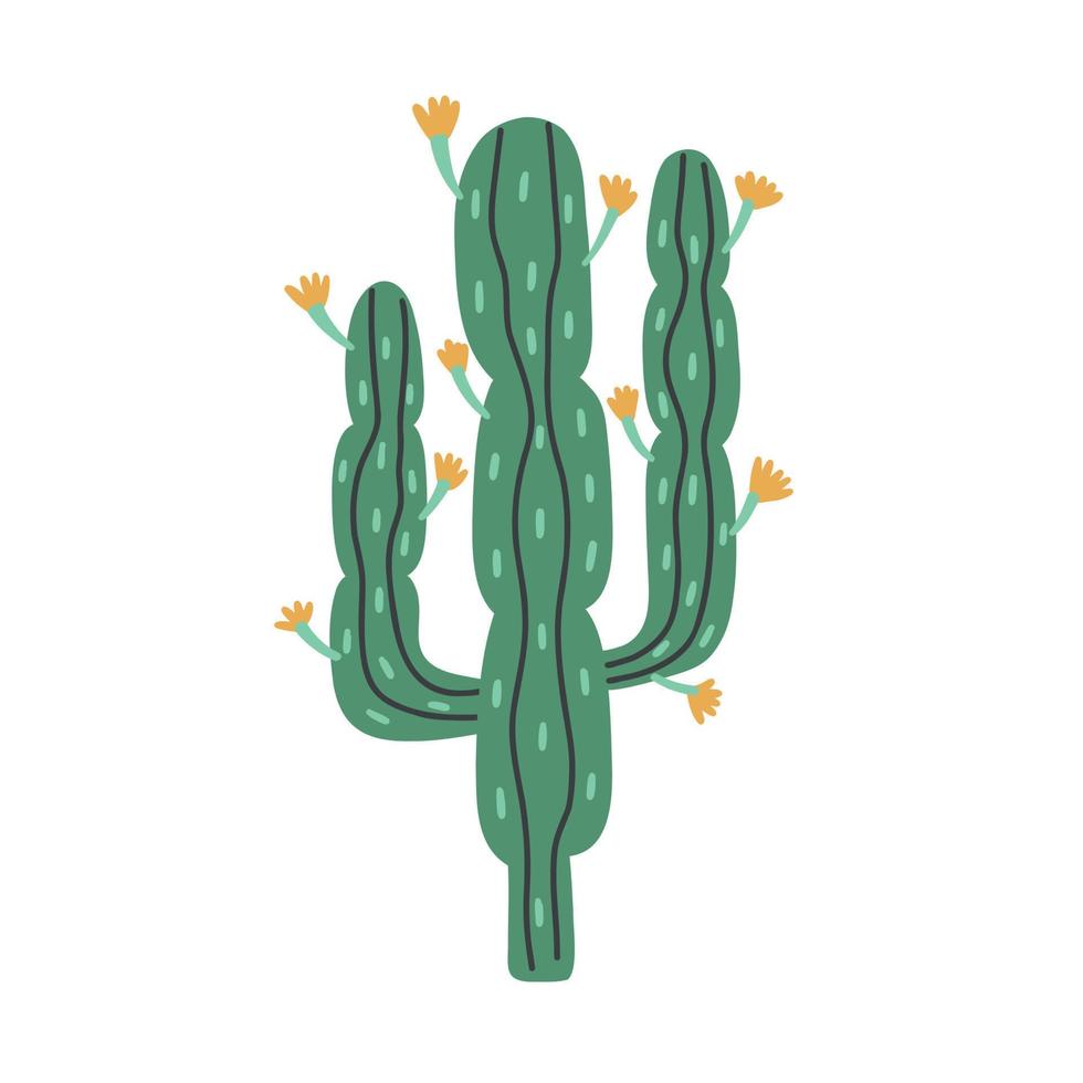 Green cactus with yellow flowers vector