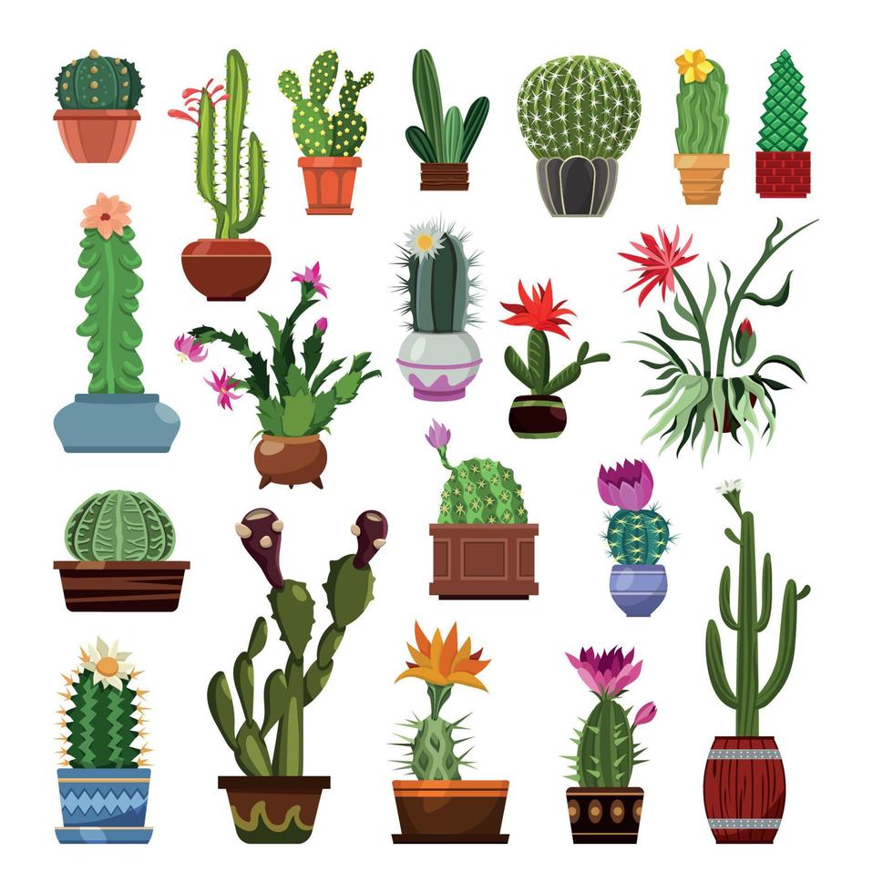 conjunto de cactus en macetas vector