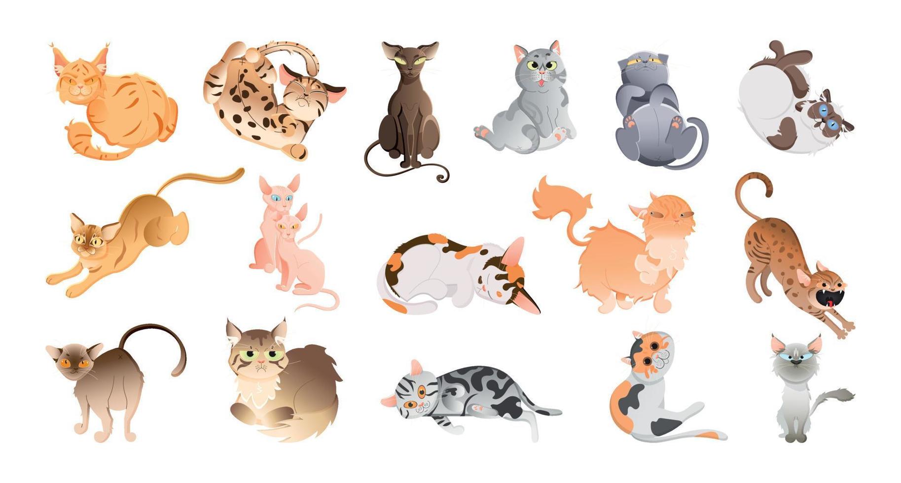 Set of Purebred Cats vector