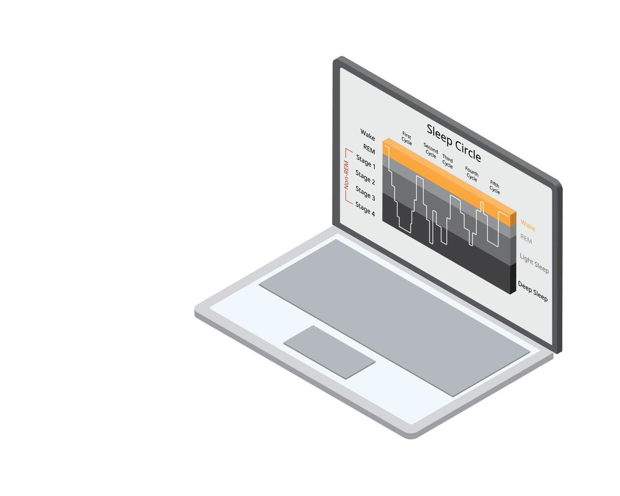 sleep circle with sleep stage to analysis of brain activity during sleep vector