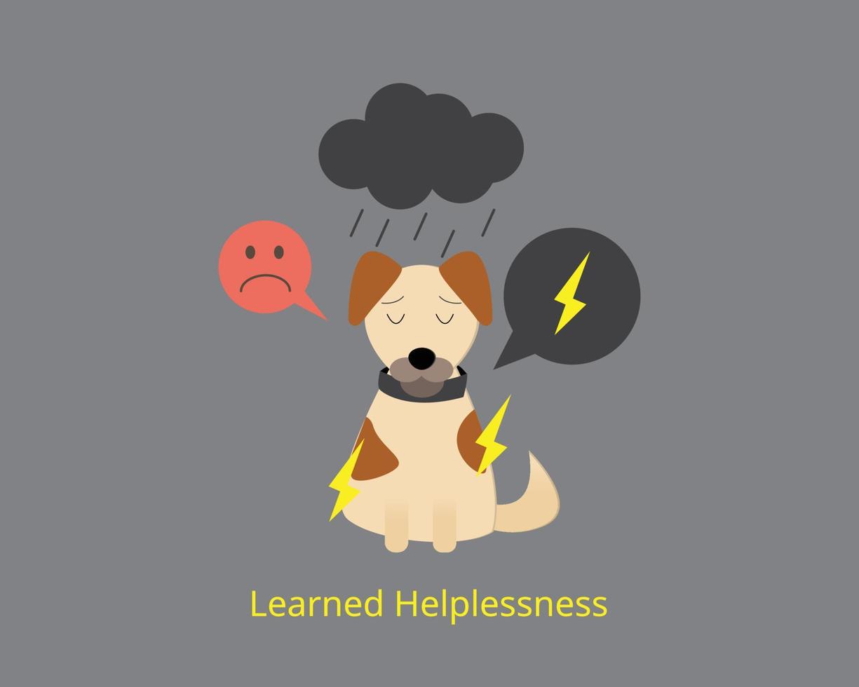 Learned helplessness is a state that occurs after a person has experienced a stressful situation repeatedly and believe that they are unable to change the situation vector