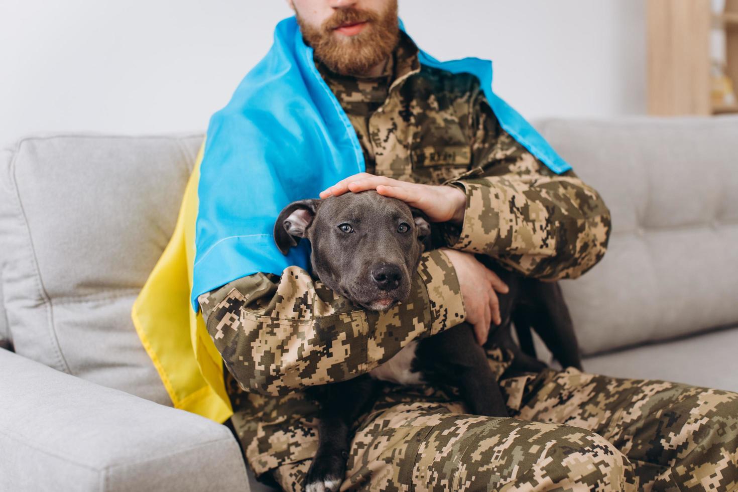 Ukrainian soldier wrapped in Ukrainian flag holds Amstaff dog in the arms in the office photo