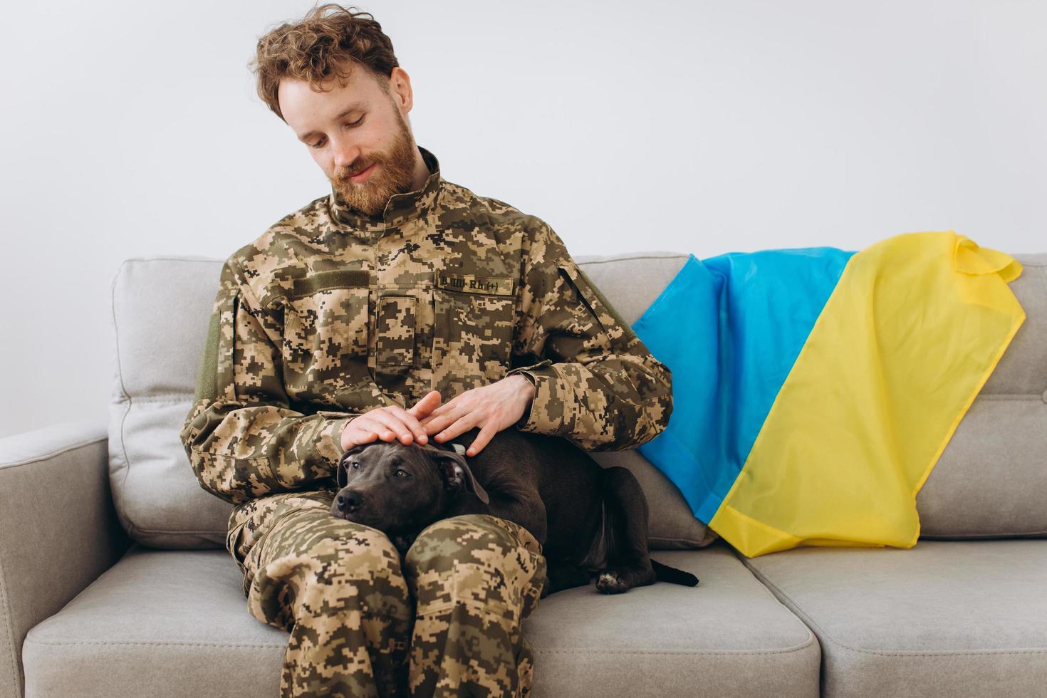 un soldado ucraniano con uniforme militar está sentado en un sofá con su fiel amigo, un perro amstaff, en la bandera amarilla y azul de fondo. foto