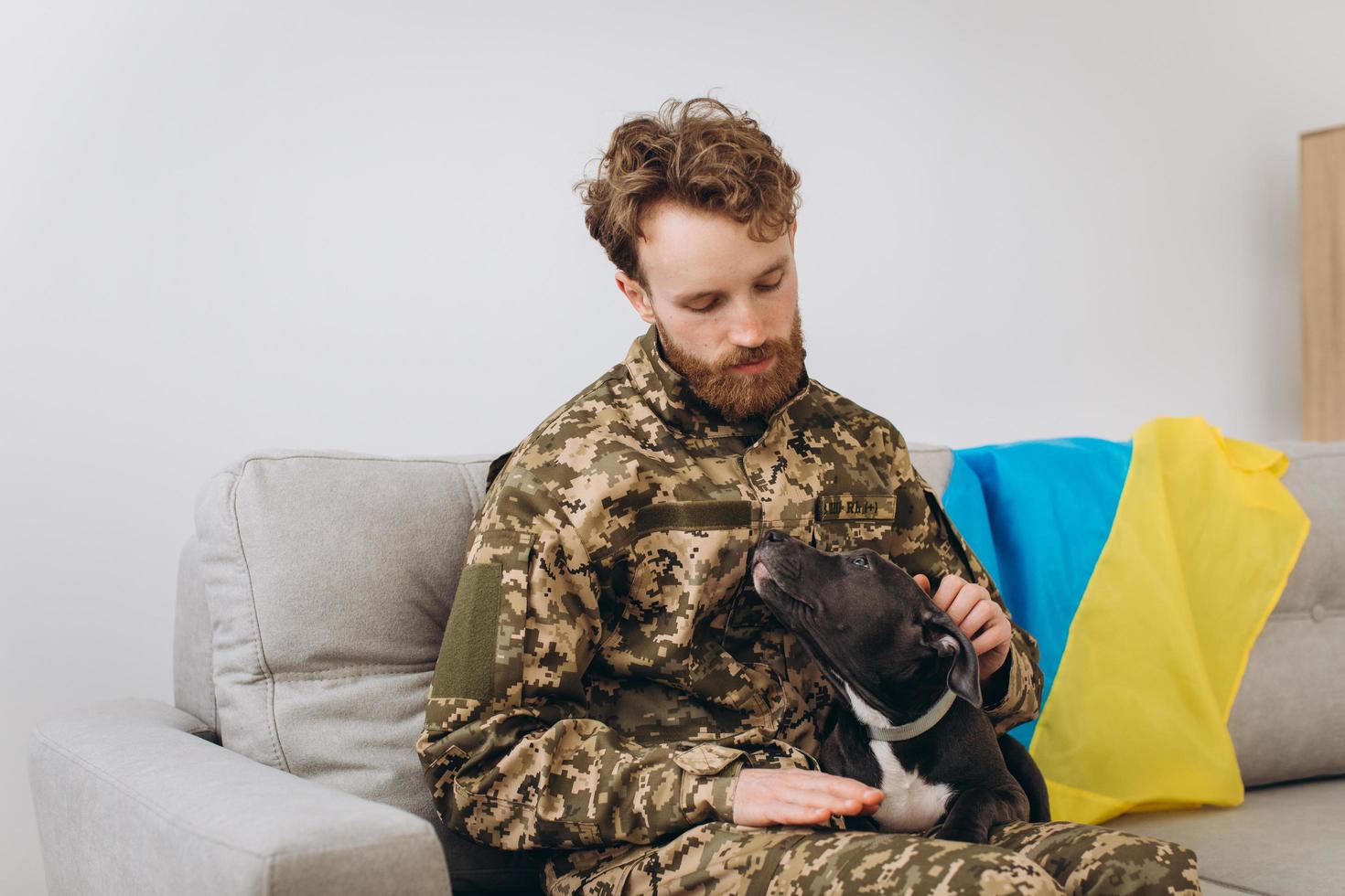 A Ukrainian soldier in military uniform is sitting on a sofa with his faithful friend, an Amstaff dog, on the background yellow and blue flag. photo