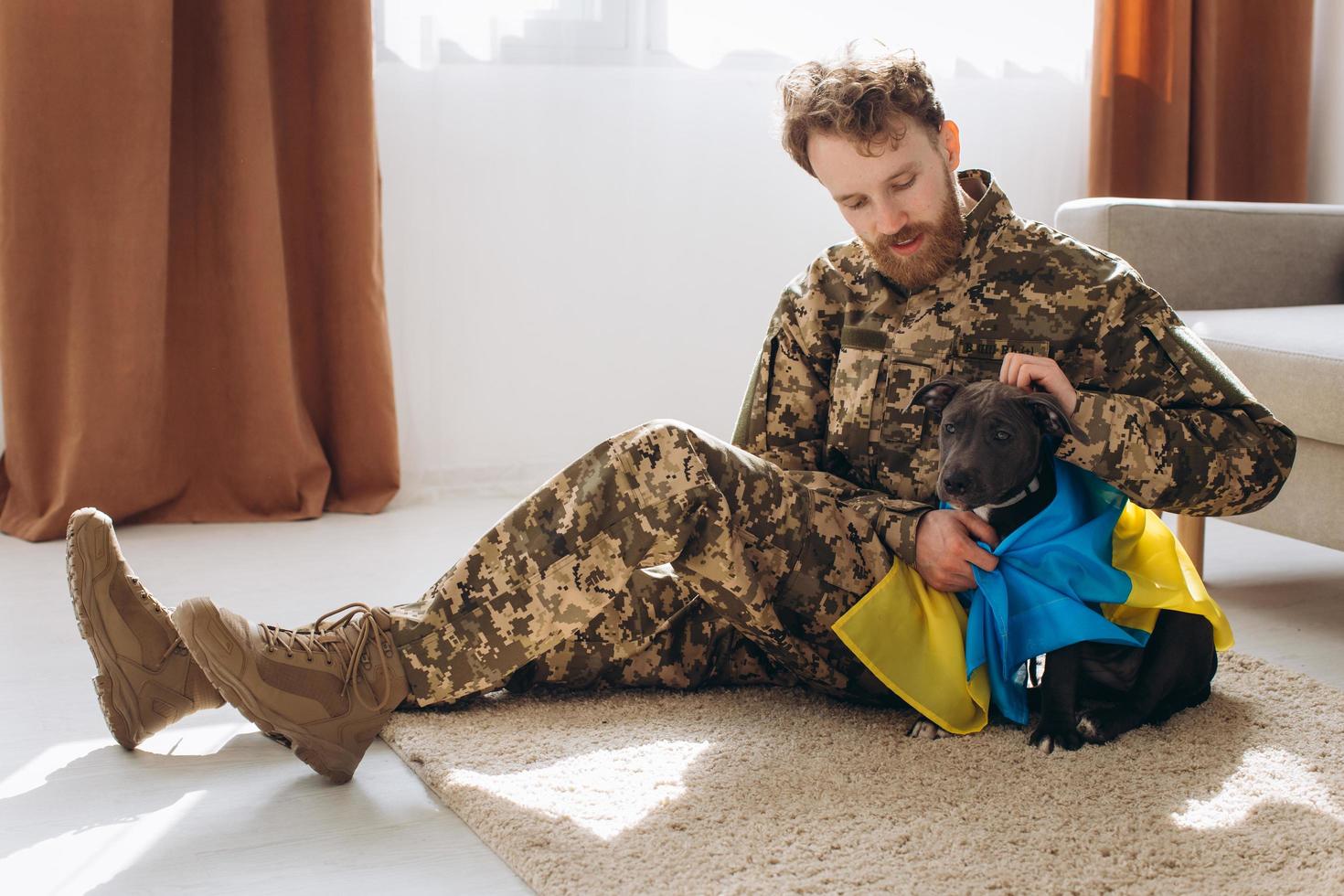 Ukrainian soldier hugging and wrapping his faithful friend's Ukrainian flag around an Amstaff dog in the office photo