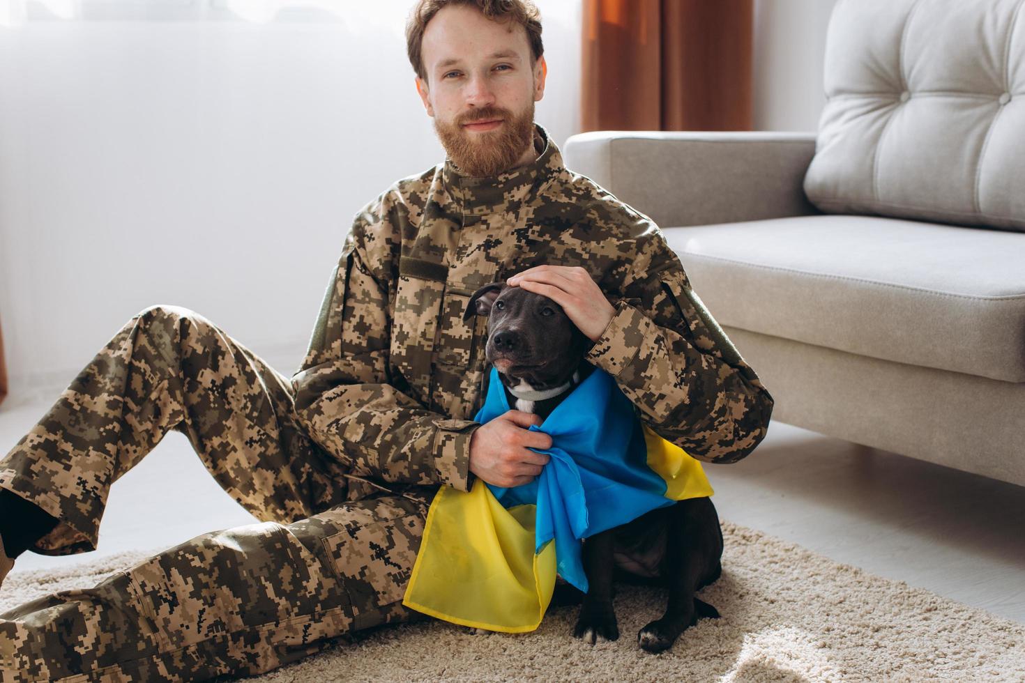 Ukrainian soldier hugging and wrapping his faithful friend's Ukrainian flag around an Amstaff dog in the office photo