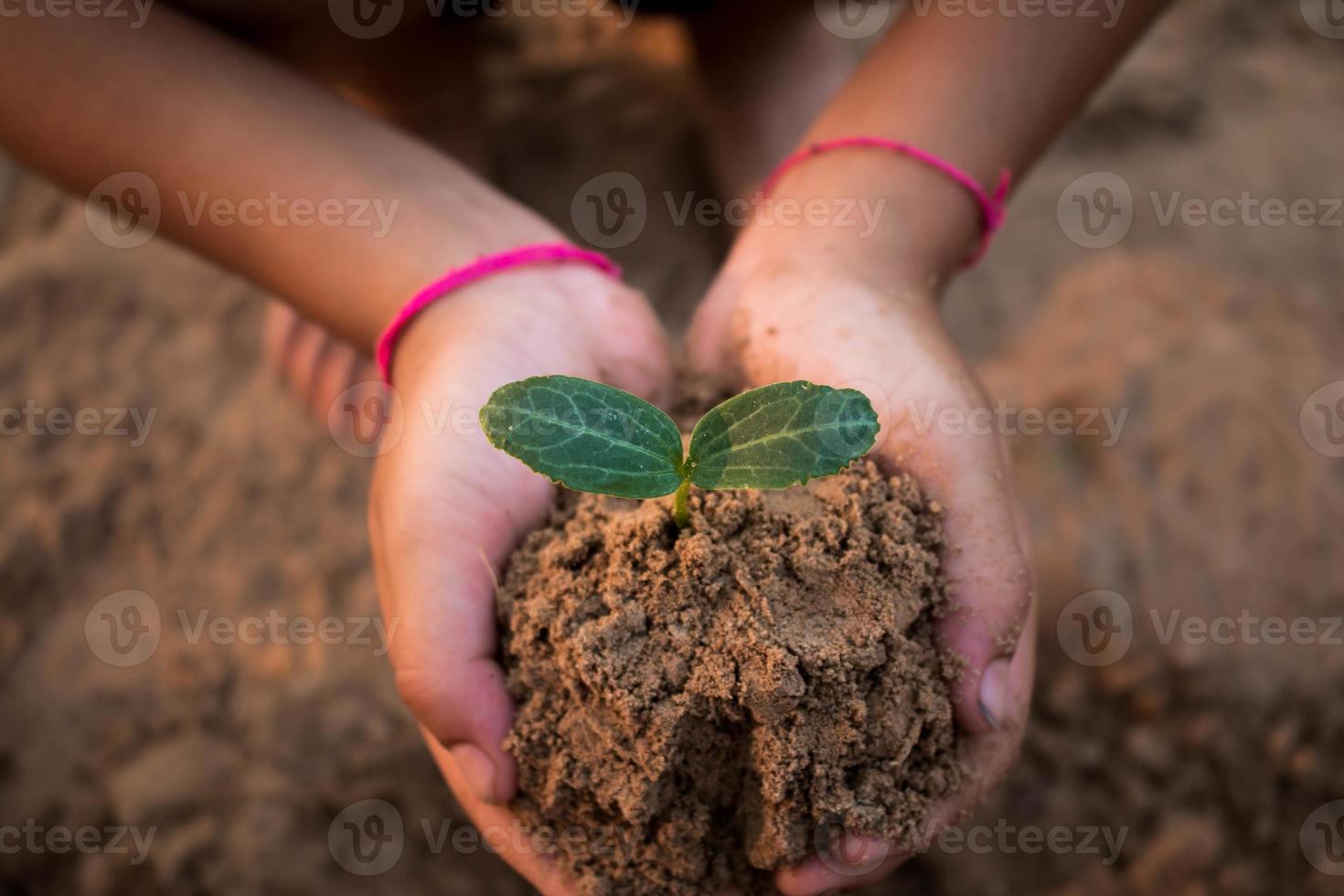 Children planting forests to reduce global warming, Concept afforest. photo