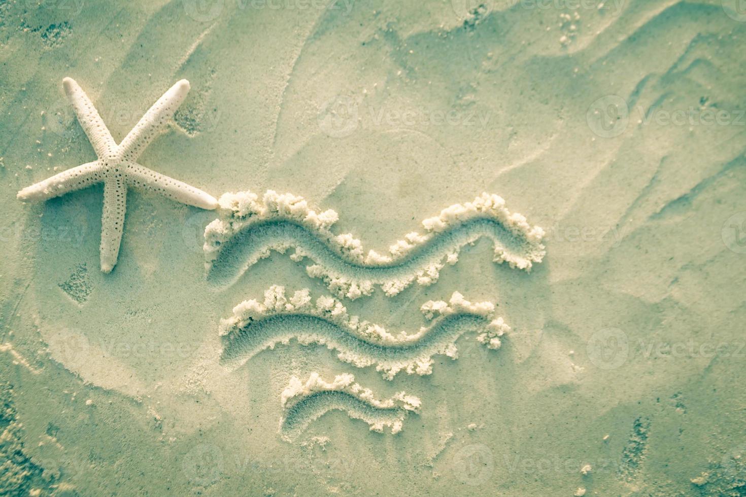 Starfish on the sea white sand. photo