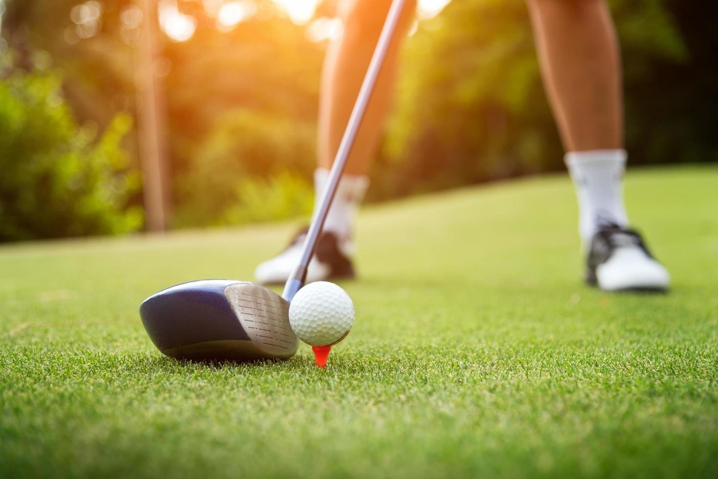 Golf ball on green grass ready to be struck photo