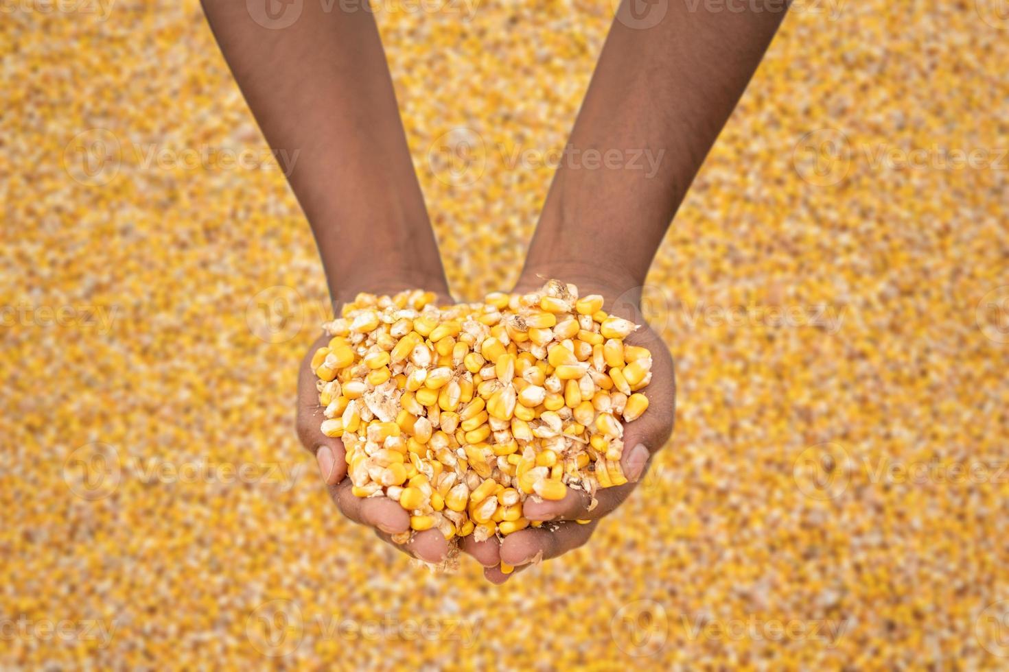The bright orange corn kernels are simply stunning photo