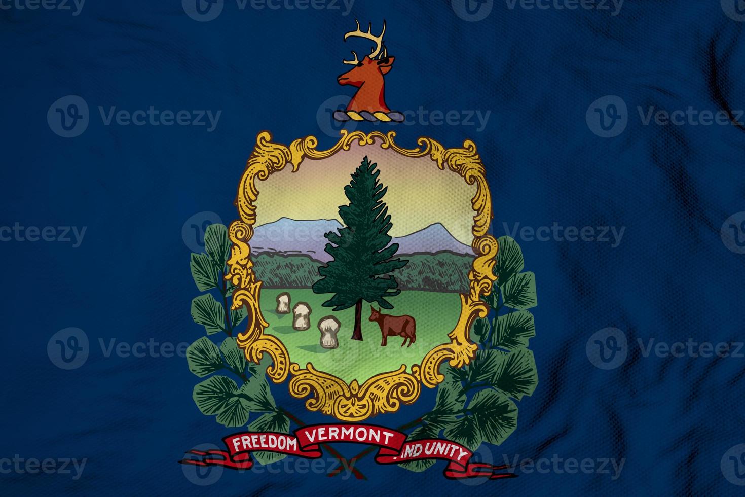 Flag of Vermont in 3D rendering photo