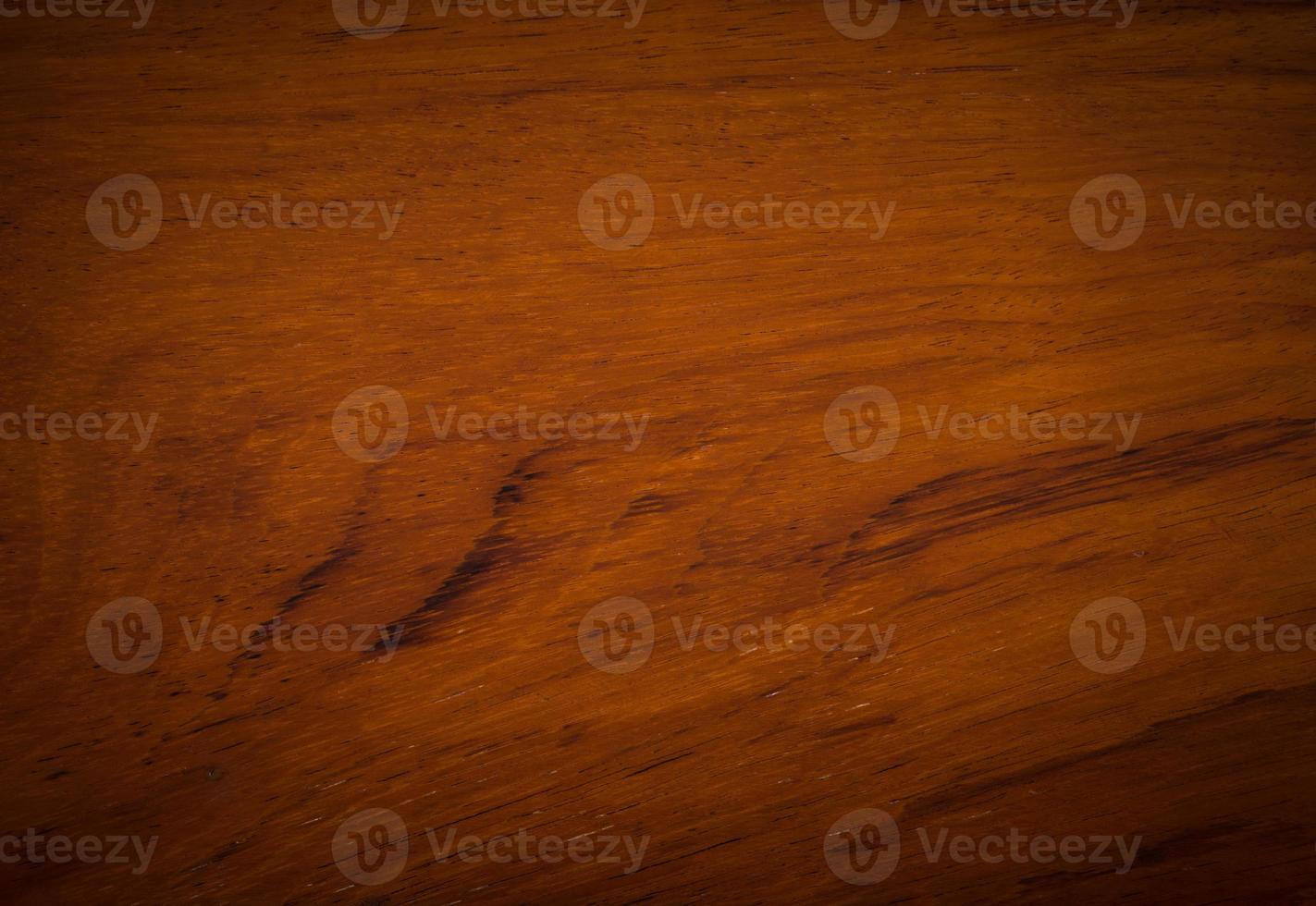 background and texture of Macro Ormosia wood photo