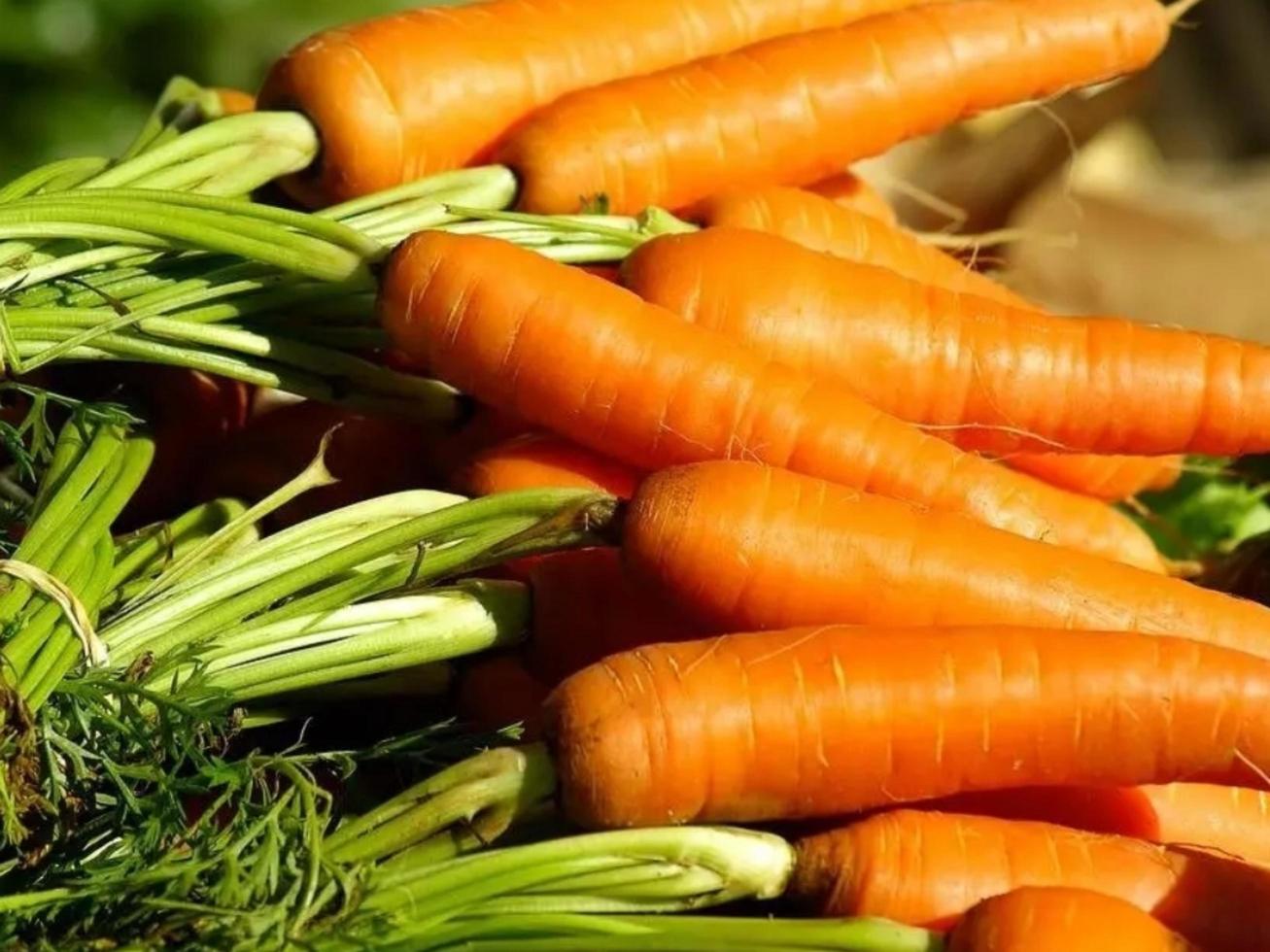 pile of fresh carrots photo