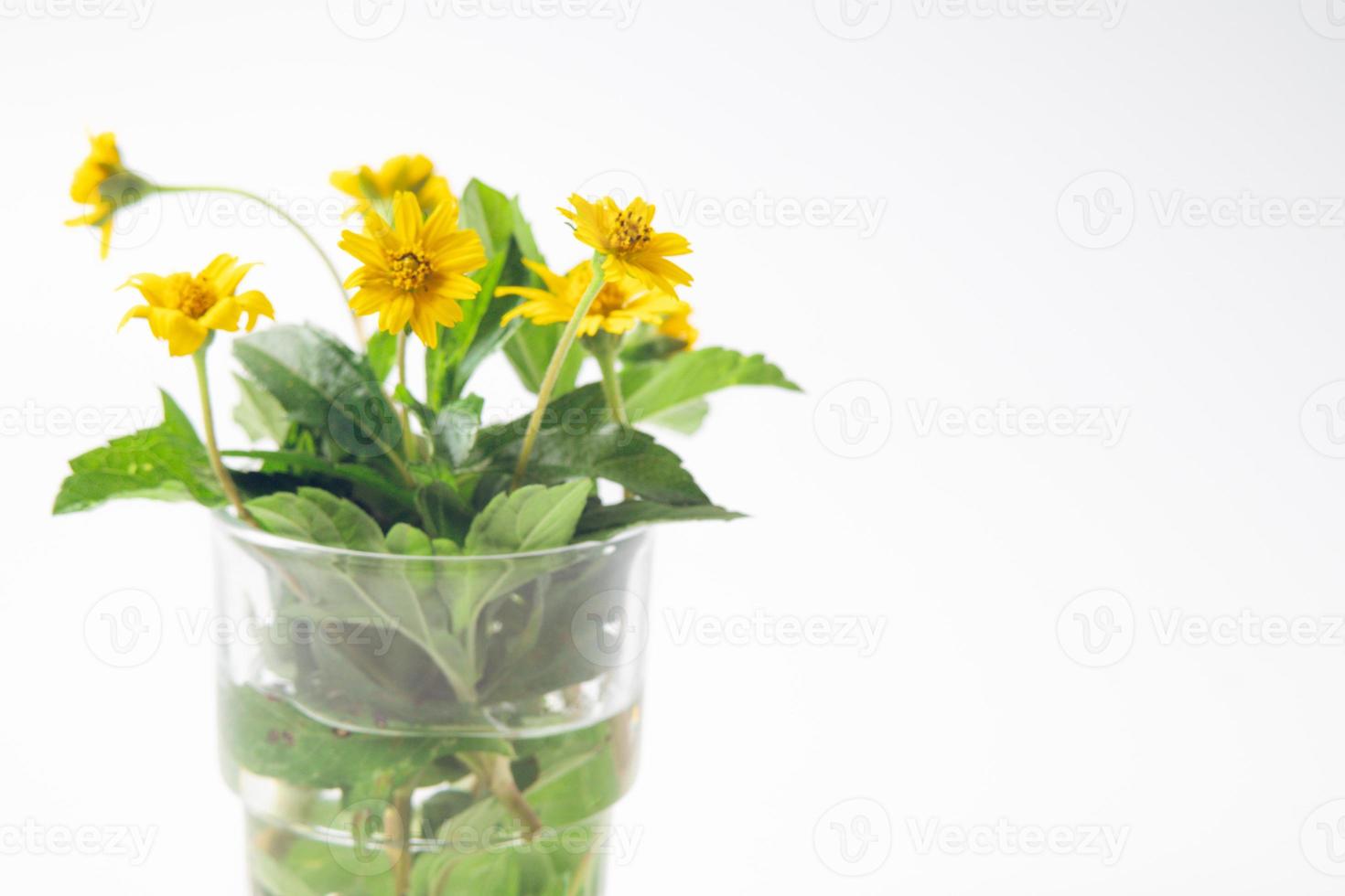 Yellow flowers in a glass vase photo