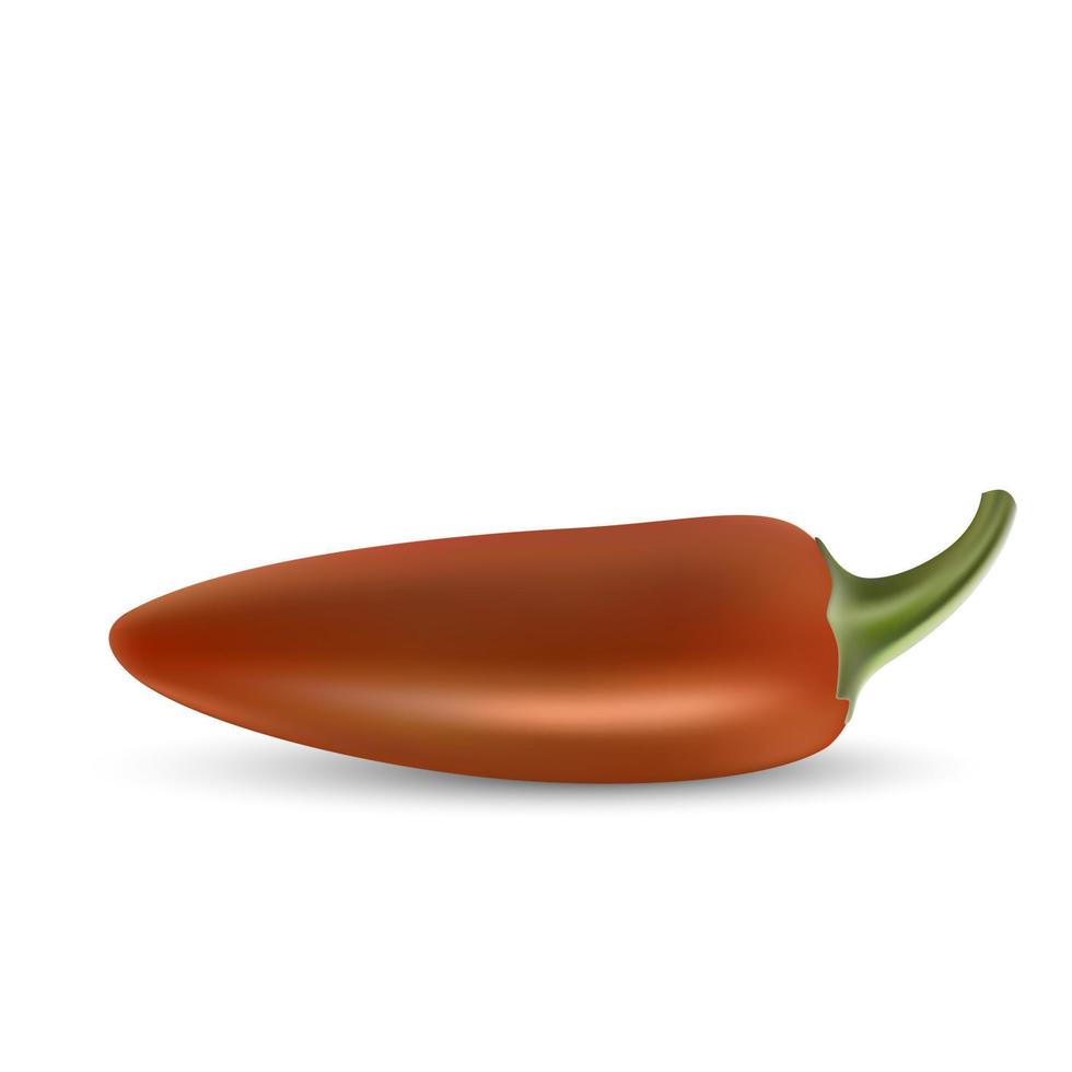 natural hoti pepper vector