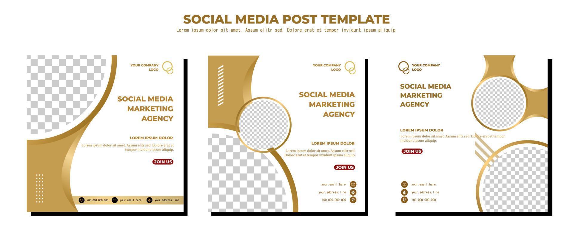 White Gold Vector Social Media Post Template, vector art illustration and text