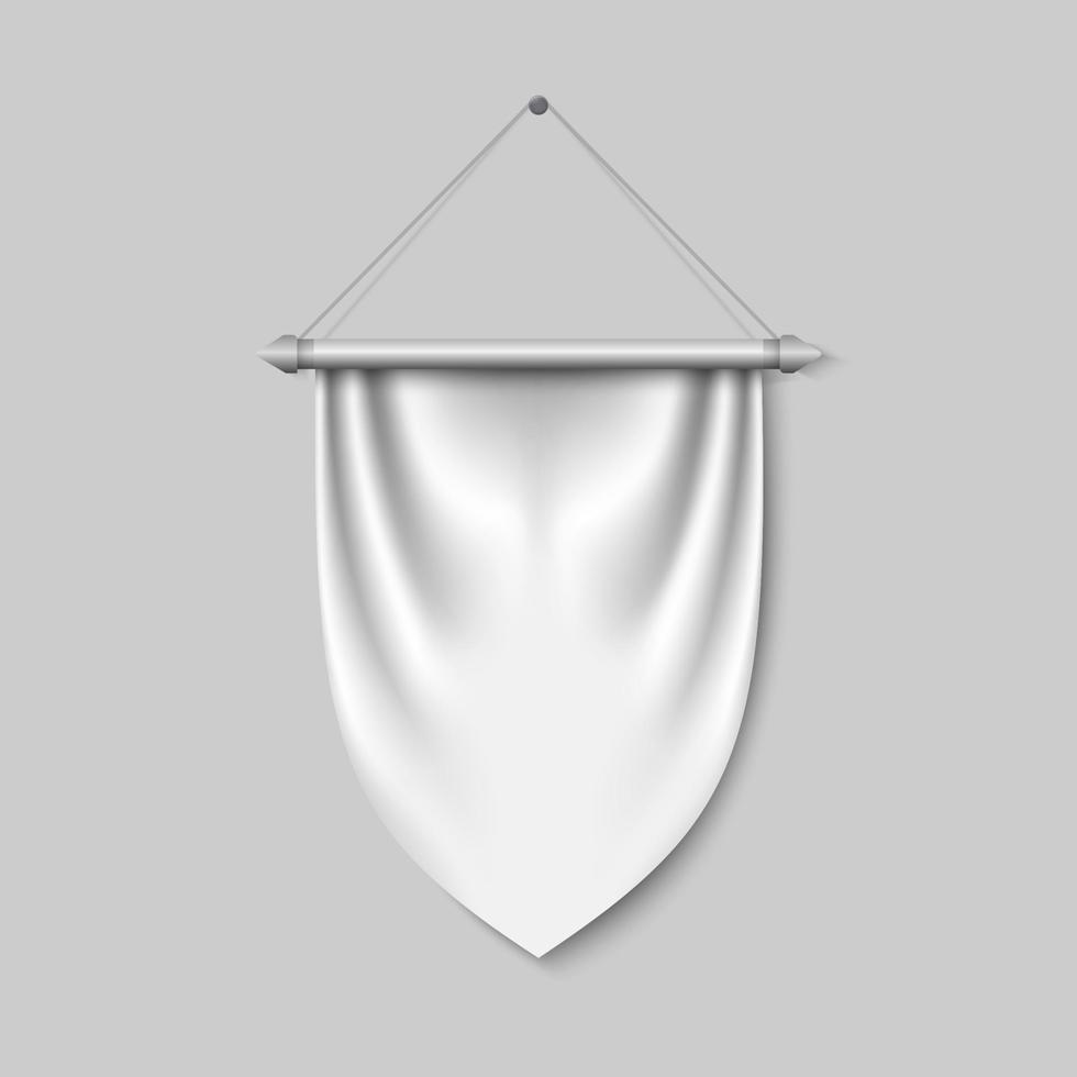 Empty 3D Pennant template vector