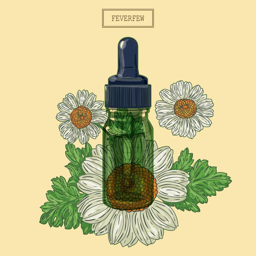 flores de matricaria médica y cuentagotas de vidrio verde, ilustración dibujada a mano en un estilo retro vector