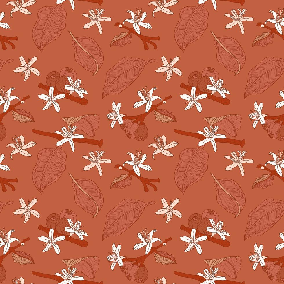 Flowering coffee Arabica branch brown seamless pattern vector