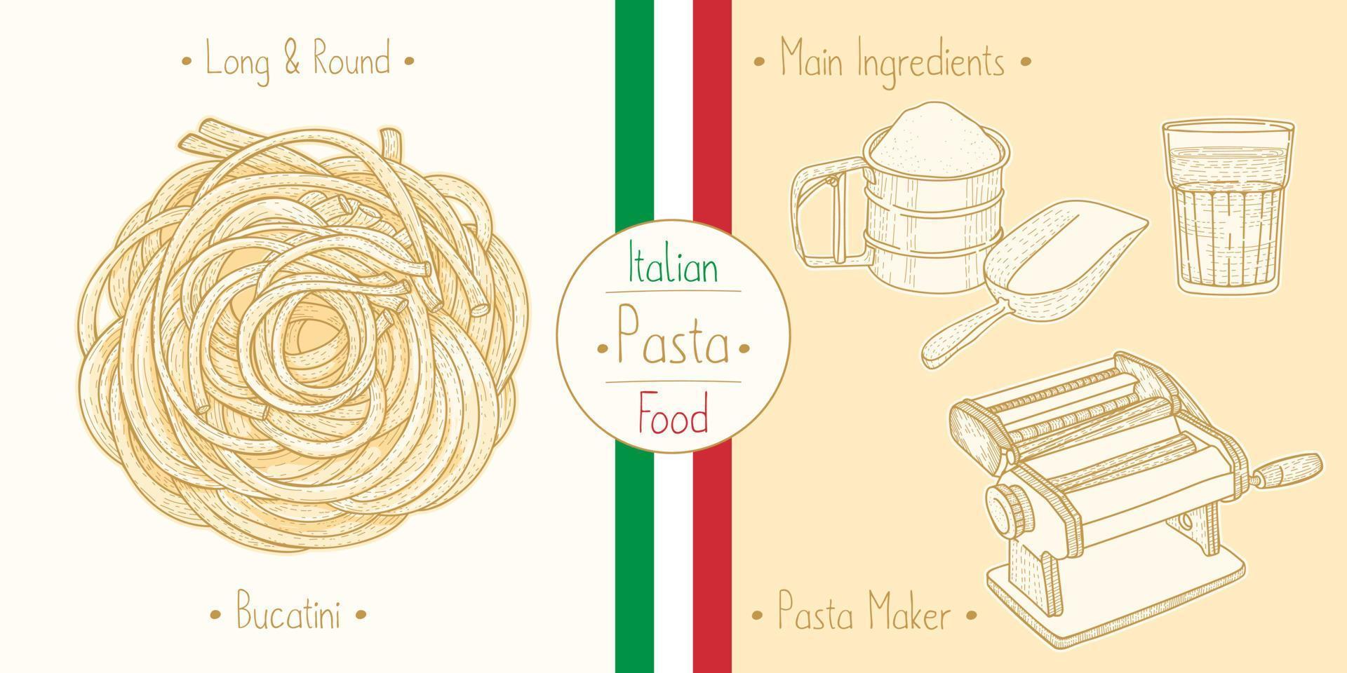 cocinar comida italiana bucatini de pasta tipo sphagetti e ingredientes principales y equipos para hacer pasta, dibujar ilustraciones en estilo antiguo vector