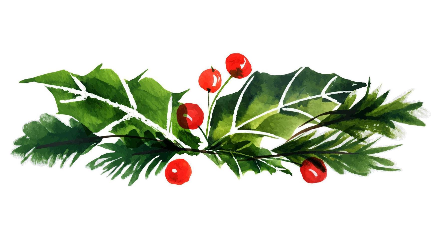 Bouquet of New year tree and holly. Watercolor botanical sticker for cute Christmas and New Year greeting and invitation cards. vector