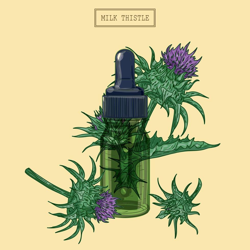 Milk thistle flowers and green glass dropper, hand drawn illustration in a retro style vector