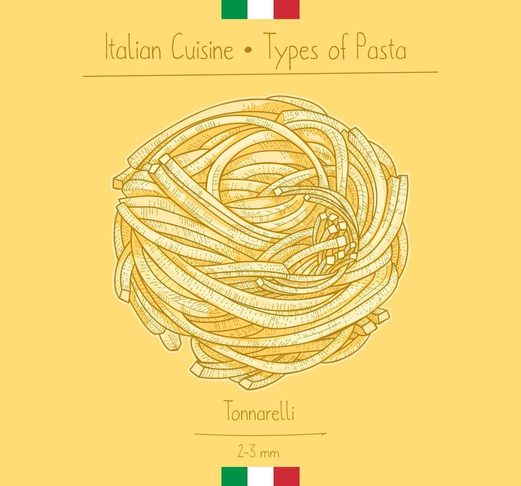 Italian Food Spaghetti Chitarra aka Tonnarellle Square Pasta, sketching illustration in the vintage style vector