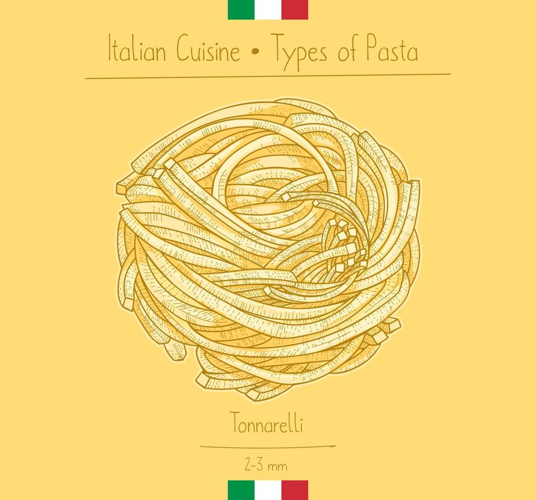 comida italiana espagueti chitarra, también conocido como pasta cuadrada tonnarellle, esbozo de ilustración en el estilo antiguo vector