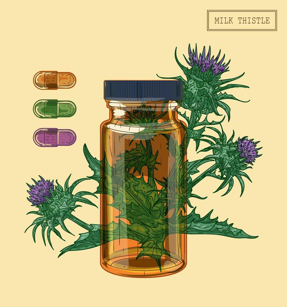 planta de cardo de leche médica y vial de vidrio, ilustración dibujada a mano en un estilo retro vector